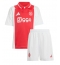 Maillot de football Réplique Ajax Brian Brobbey #9 Domicile Enfant 2024-25 Manche Courte (+ Pantalon court)