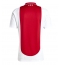 Maillot de football Réplique Ajax Domicile 2024-25 Manche Courte