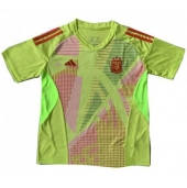 Maillot de football Réplique Argentine Gardien de but Extérieur Copa America 2024 Manche Courte