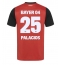 Maillot de football Réplique Bayer Leverkusen Exequiel Palacios #25 Domicile 2024-25 Manche Courte