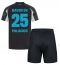 Maillot de football Réplique Bayer Leverkusen Exequiel Palacios #25 Troisième Enfant 2024-25 Manche Courte (+ Pantalon court)