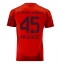 Maillot de football Réplique Bayern Munich Aleksandar Pavlovic #45 Domicile 2024-25 Manche Courte