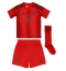 Maillot de football Réplique Bayern Munich Dayot Upamecano #2 Domicile Enfant 2024-25 Manche Courte (+ Pantalon court)