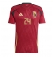 Maillot de football Réplique Belgique Amadou Onana #24 Domicile Europe 2024 Manche Courte