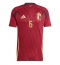 Maillot de football Réplique Belgique Axel Witsel #6 Domicile Europe 2024 Manche Courte