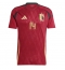 Maillot de football Réplique Belgique Dodi Lukebakio #14 Domicile Europe 2024 Manche Courte