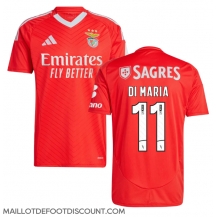 Maillot de football Réplique Benfica Angel Di Maria #11 Domicile 2024-25 Manche Courte