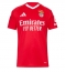 Maillot de football Réplique Benfica Domicile 2024-25 Manche Courte