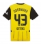 Maillot de football Réplique Borussia Dortmund Jamie Bynoe-Gittens #43 Domicile 2024-25 Manche Courte