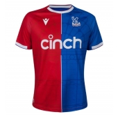 Maillot de football Réplique Crystal Palace Domicile 2023-24 Manche Courte