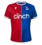 Maillot de football Réplique Crystal Palace Domicile 2023-24 Manche Courte