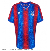 Maillot de football Réplique Crystal Palace Domicile 2024-25 Manche Courte