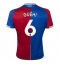 Maillot de football Réplique Crystal Palace Marc Guehi #6 Domicile 2023-24 Manche Courte