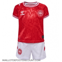 Maillot de football Réplique Danemark Domicile Enfant Europe 2024 Manche Courte (+ Pantalon court)