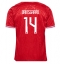 Maillot de football Réplique Danemark Mikkel Damsgaard #14 Domicile Europe 2024 Manche Courte