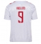 Maillot de football Réplique Danemark Rasmus Hojlund #9 Extérieur Europe 2024 Manche Courte