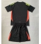 Maillot de football Réplique Espagne Gardien de but Domicile Enfant Europe 2024 Manche Courte (+ Pantalon court)