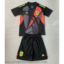 Maillot de football Réplique Espagne Gardien de but Domicile Enfant Europe 2024 Manche Courte (+ Pantalon court)