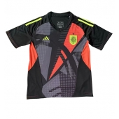 Maillot de football Réplique Espagne Gardien de but Domicile Europe 2024 Manche Courte