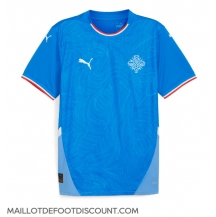 Maillot de football Réplique Islande Domicile 2024 Manche Courte