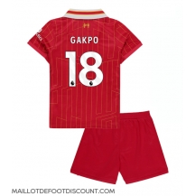 Maillot de football Réplique Liverpool Cody Gakpo #18 Domicile Enfant 2024-25 Manche Courte (+ Pantalon court)