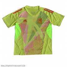 Maillot de football Réplique Mexique Gardien de but Domicile Copa America 2024 Manche Courte