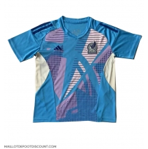 Maillot de football Réplique Mexique Gardien de but Extérieur Copa America 2024 Manche Courte