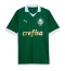 Maillot de football Réplique Palmeiras Domicile 2024-25 Manche Courte