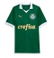 Maillot de football Réplique Palmeiras Estevao Willian #41 Domicile 2024-25 Manche Courte