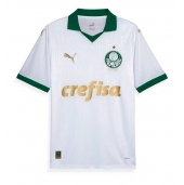 Maillot de football Réplique Palmeiras Extérieur 2024-25 Manche Courte