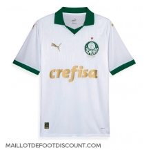 Maillot de football Réplique Palmeiras Extérieur 2024-25 Manche Courte