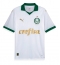 Maillot de football Réplique Palmeiras Extérieur 2024-25 Manche Courte