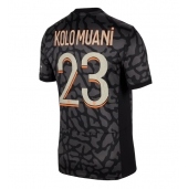 Maillot de football Réplique Paris Saint-Germain Randal Kolo Muani #23 Troisième 2023-24 Manche Courte