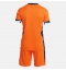 Maillot de football Réplique Pays-Bas Domicile Enfant Europe 2024 Manche Courte (+ Pantalon court)