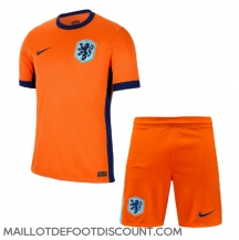 Maillot de football Réplique Pays-Bas Domicile Enfant Europe 2024 Manche Courte (+ Pantalon court)