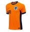 Maillot de football Réplique Pays-Bas Donyell Malen #18 Domicile Europe 2024 Manche Courte