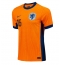 Maillot de football Réplique Pays-Bas Joey Veerman #16 Domicile Europe 2024 Manche Courte