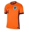 Maillot de football Réplique Pays-Bas Virgil van Dijk #4 Domicile Europe 2024 Manche Courte