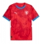 Maillot de football Réplique République Tchèque Domicile Europe 2024 Manche Courte