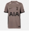 Maillot de football Réplique Tottenham Hotspur Brennan Johnson #22 Troisième 2023-24 Manche Courte