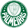 Maillot football Palmeiras